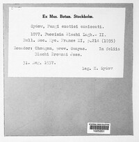 Image Associated With the Occurence